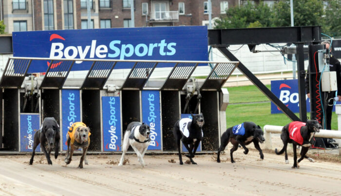 BoyleSports, greyhound racing, sports, sports betting