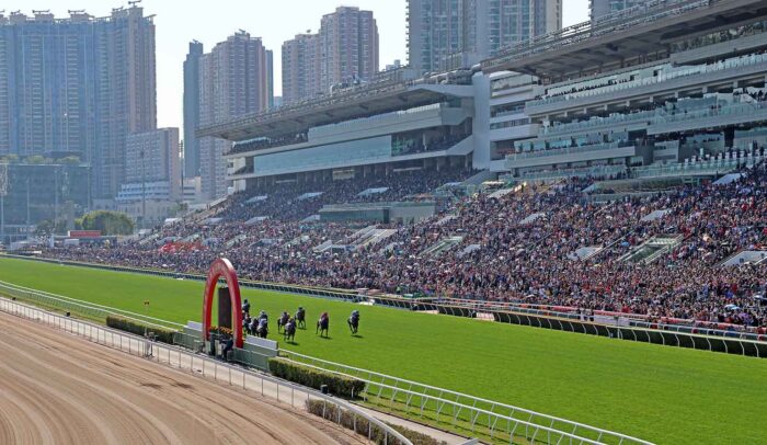 HKJC Sha Tin Racecourse 2024